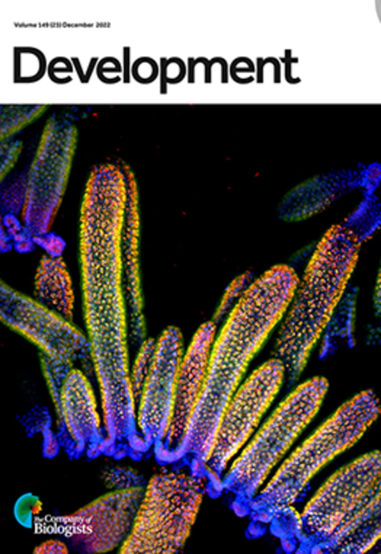 Cover of scientific magazine about biology and stem cells.