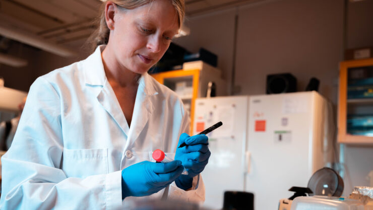 Person writes with a pen on a test tube.