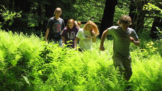 Barn springer genom skogen.