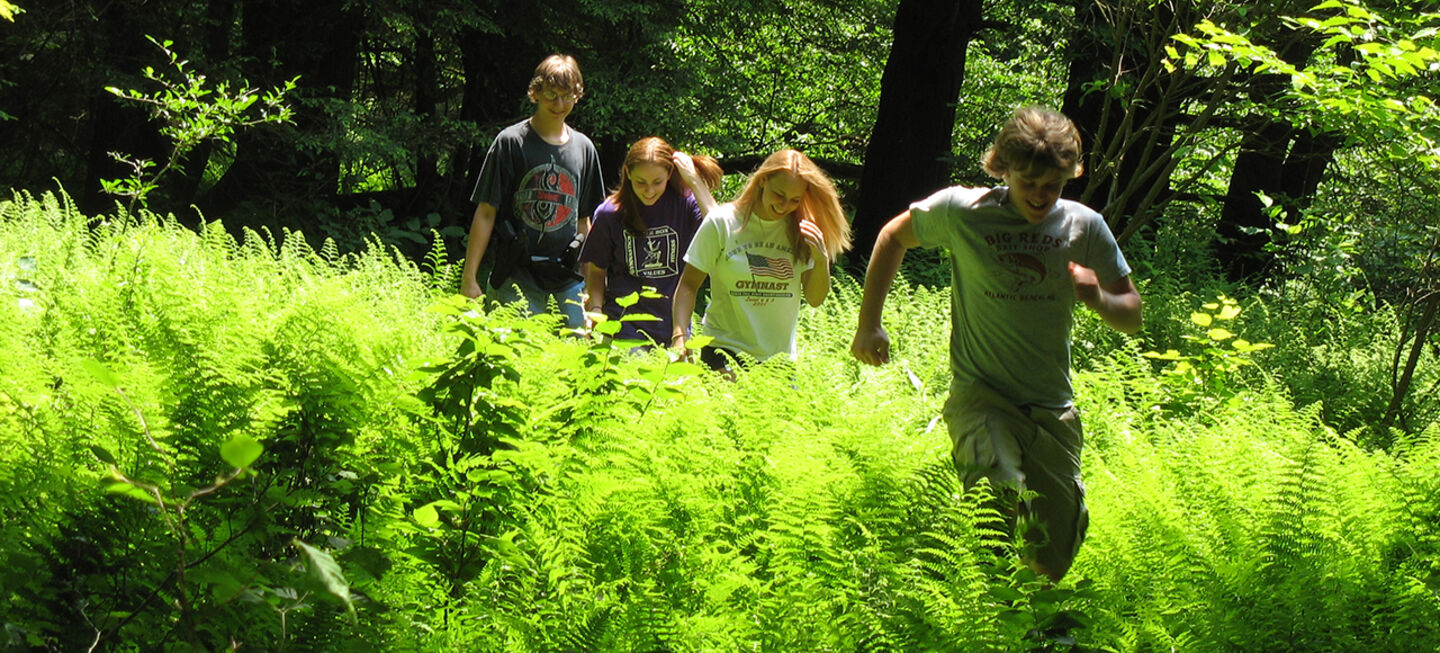 Children running through the wood. 