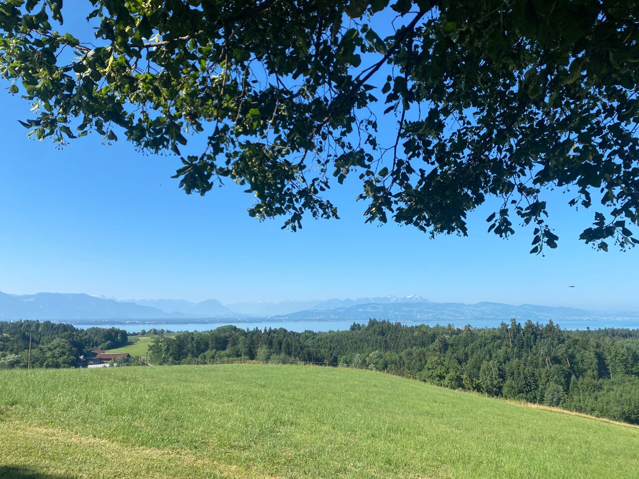 Vacker naturbild över Bodensjön i Lindau. 