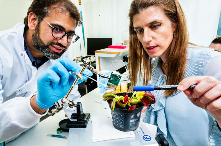 Abdul Manan Dar and Eleni Stavrinidou. 