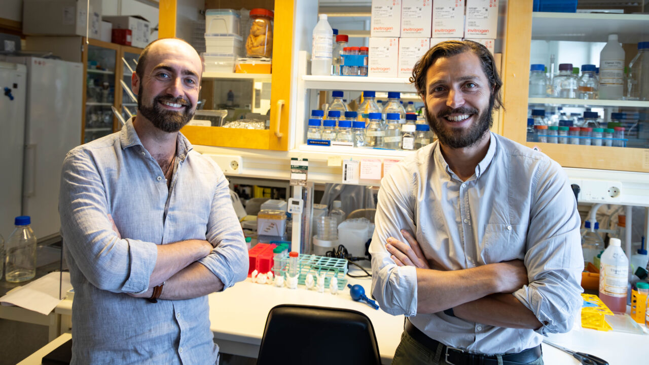 Two men in a laboratory.