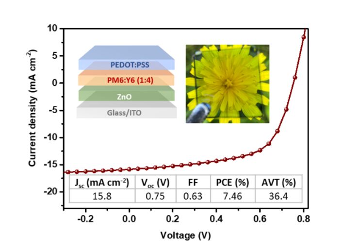 Illustration, Fig.1 The performance, device structure and a photo of solution-processed semi-transparent organic solar cells.