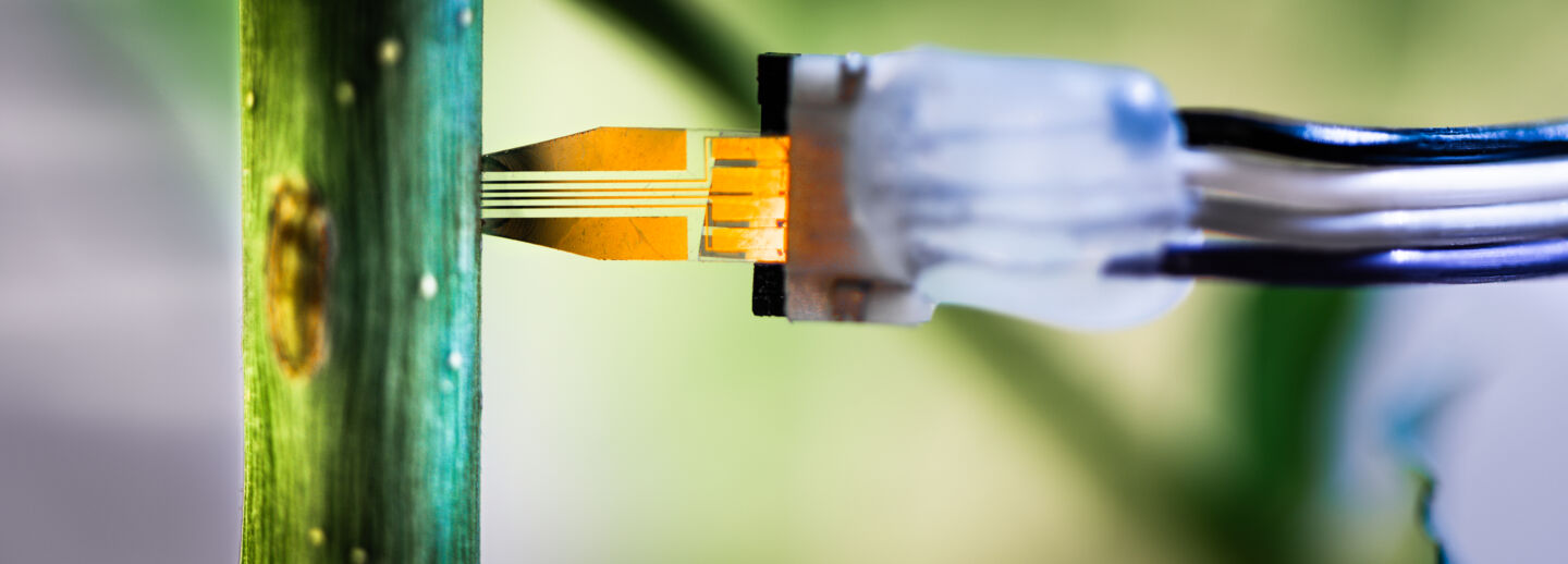 Stem with electronics