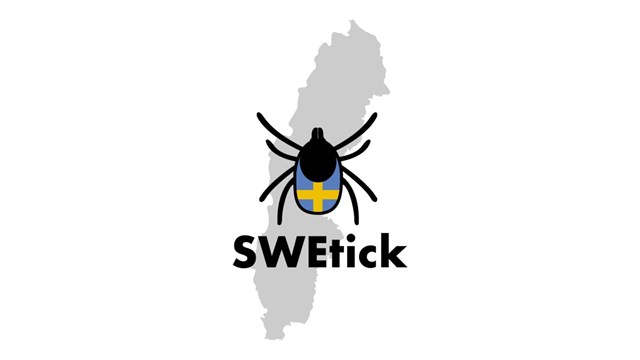 En fästing på en karta över Sverige med texten SWEtick.