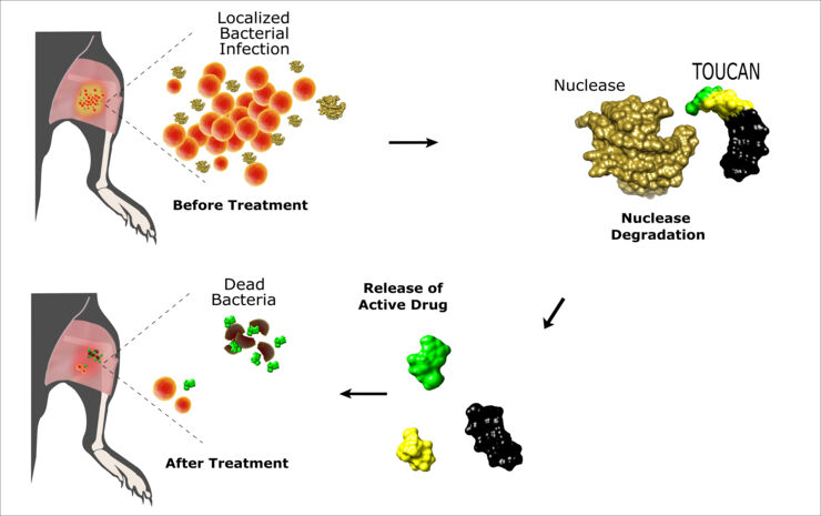 illustration of the method.