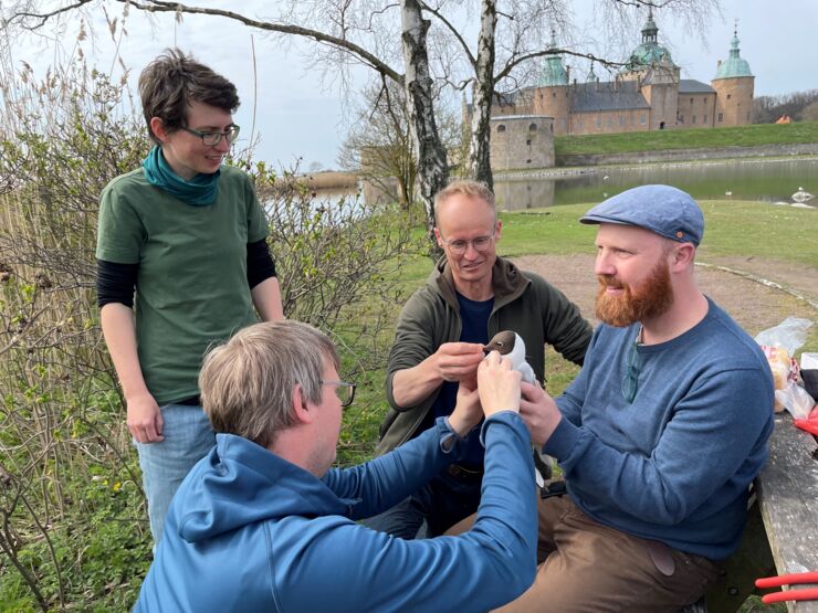 Four people working with a gull.