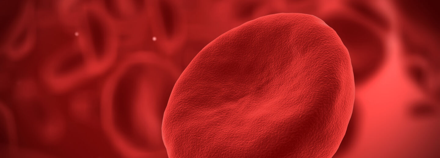 Red blood cell.