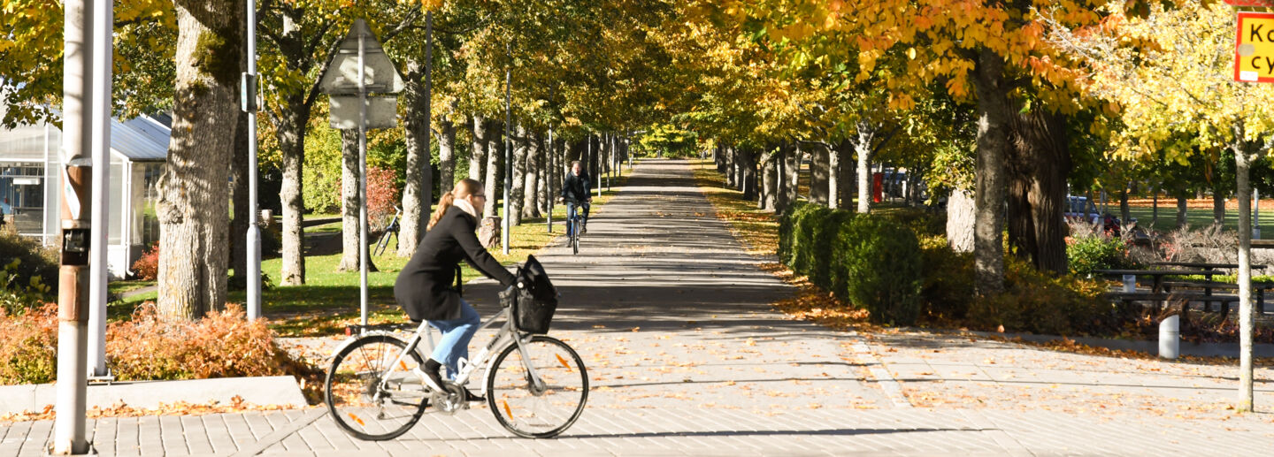 Autumn at the Campus Valla and bikes. 
