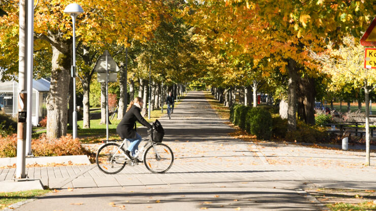 Hösten på Campus Valla och cyklar.