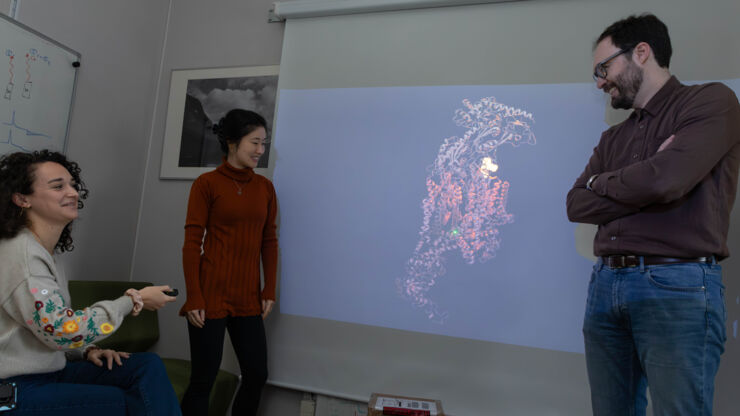 A group is watching a big screen in an office.