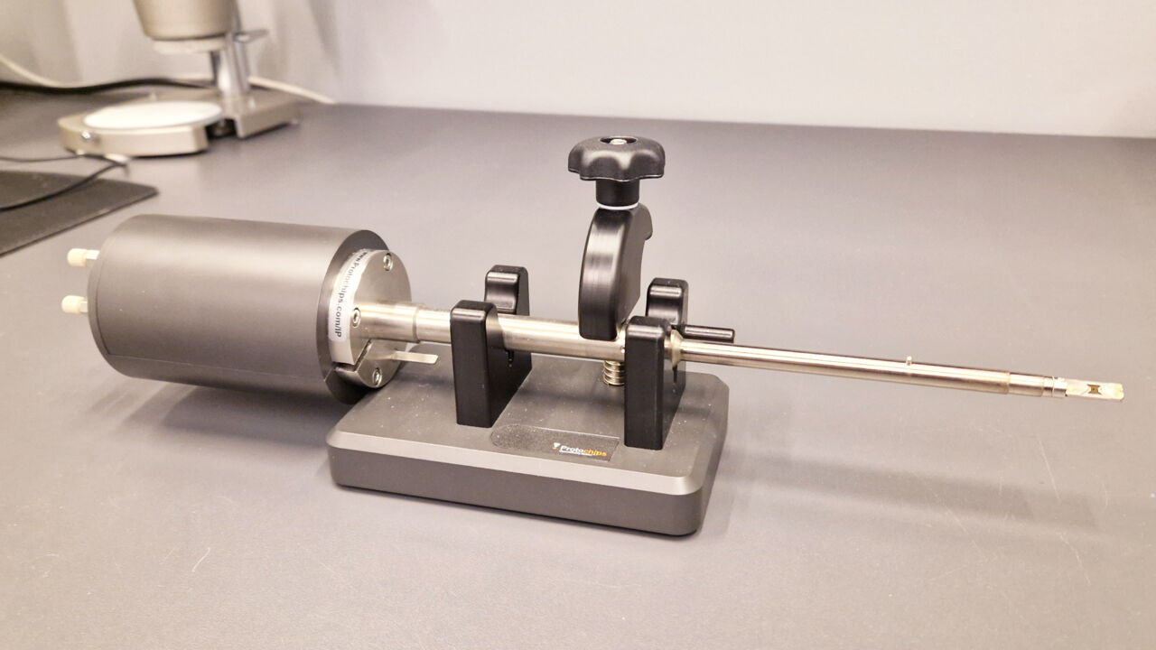 In situ holders for Scanning transmission  Electron Microscopes