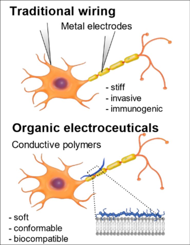 Electrical wiring of cells: traditional metal contacts vs. in-situ manufactured organic electronic pharmaceuticals.