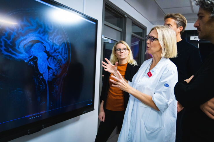 Researchers discussing in front of a big screen displaying an image of a brain.