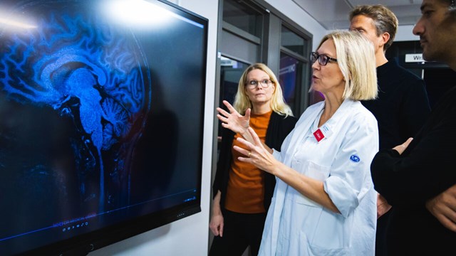 Researchers discussing in front of a big screen displaying an image of a brain.