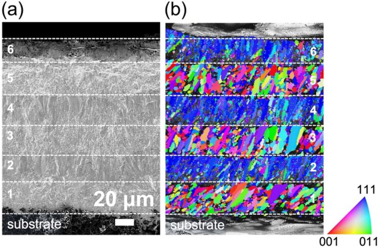 vCross section electron micrograph of a silicon carbide 