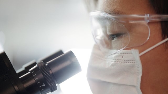 Person med munskydd och skyddsglasögon är påväg att titta in i ett mikroskop.