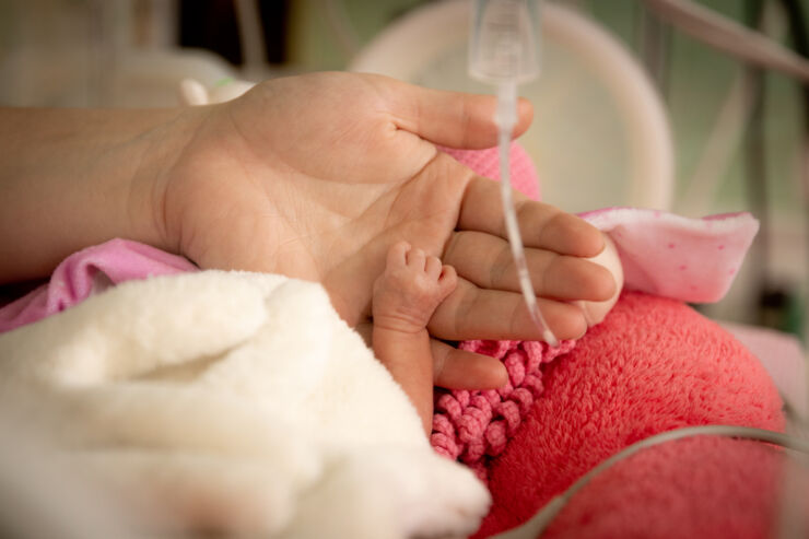 adult hand holding the hand of an extremely premature infant.