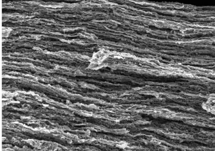 2D material based composite (cross-section view)