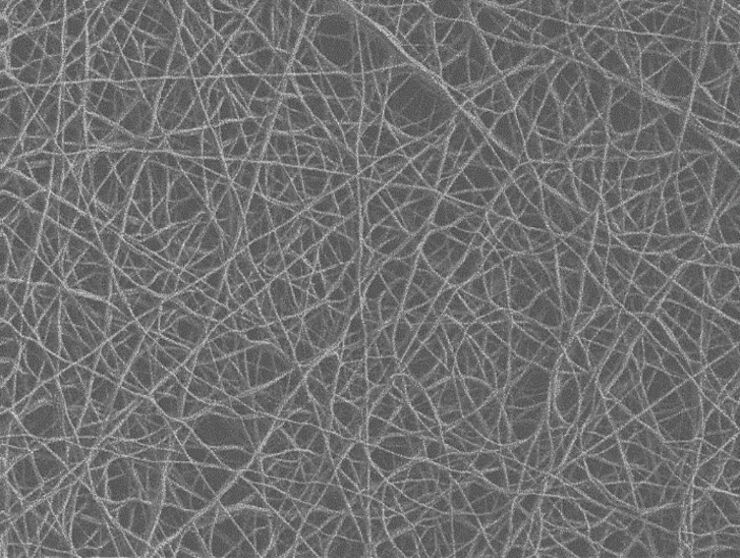 Example of electrospun fiber matrix