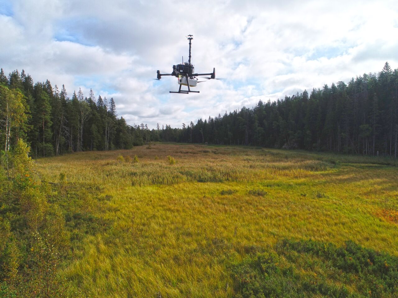 Drönare över våtmark.