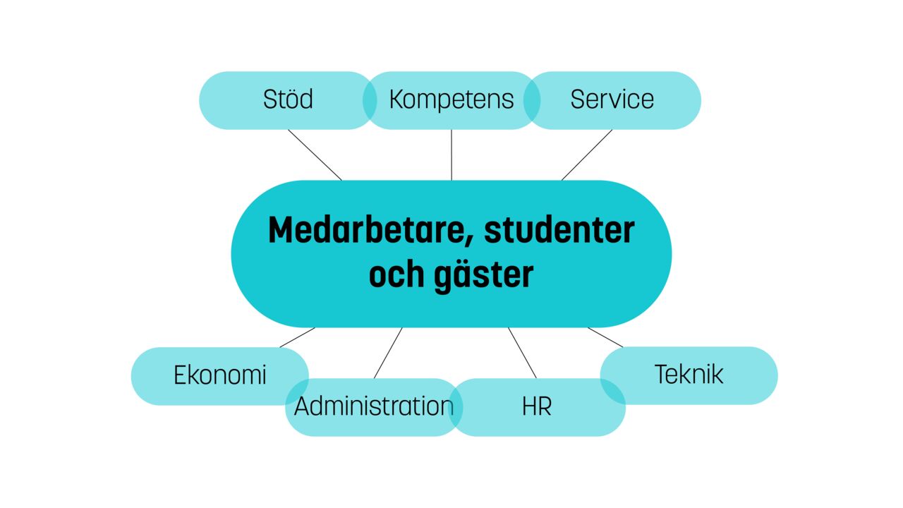 Grafik över VS organisation vid ISY.