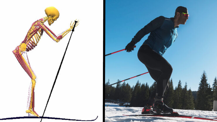 animerad bild på skelett och foto av en skidåkare.