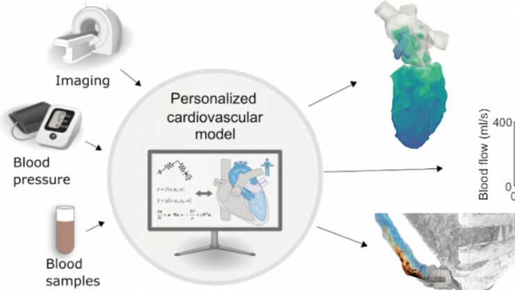 Flowchart presenting the principle of a personalized cardiovascular model for various of applications. 