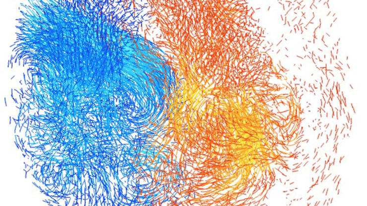 Visualisering av blodflödeshastighet i hjärtat och aorta. Datasetet är framtaget med en MR-undersökning.