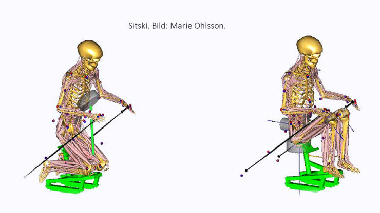 animated picture of sitski-skier.