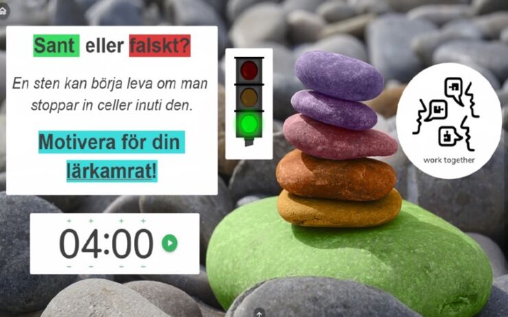 Stenar med sant eller falskt-fråga: En sten kan börja leva om man stoppar in celler inuti den.