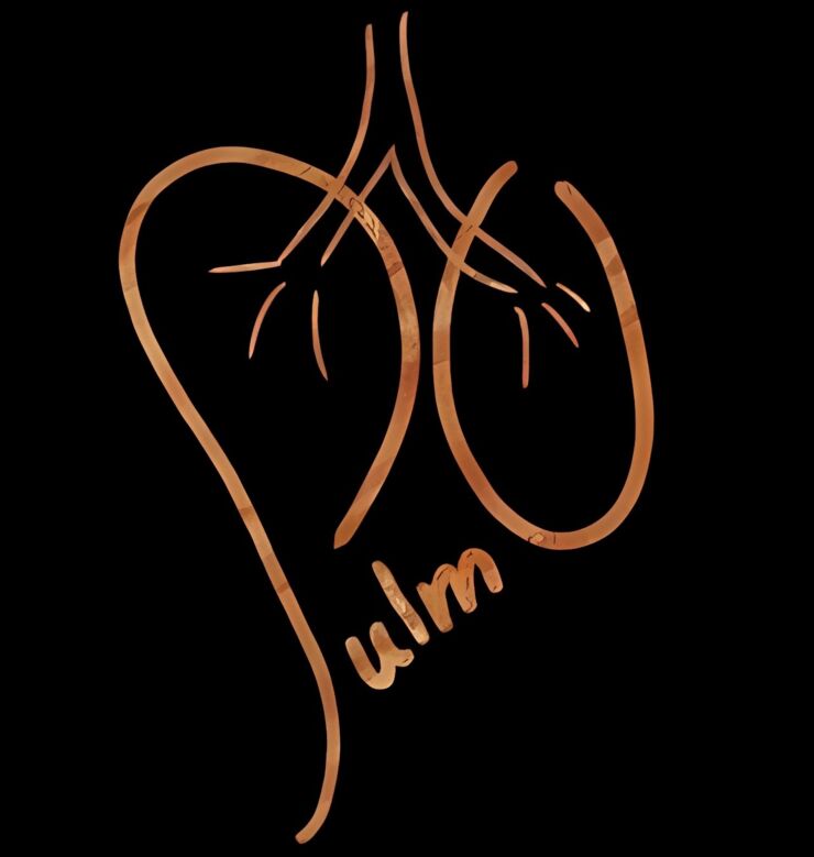 PULMO logo och grafik.