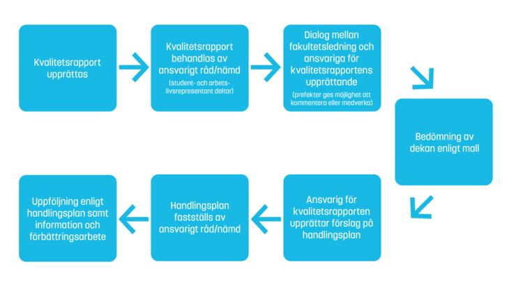 Figur 2. Arbetsprocess på fakultetsnivå av kvalitetsrapporten, bedömning samt upprättande av handlingsplan.