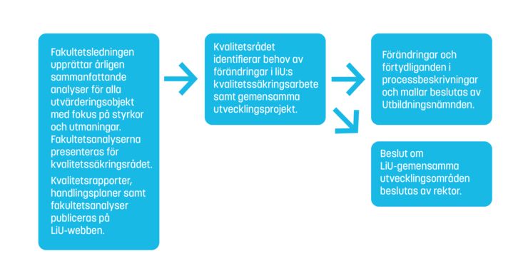 Figur 3. Årlig strategi- och verksamhetsplanering.