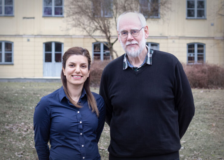 Kaj Holmberg and Roghayeh Hajizadeh 