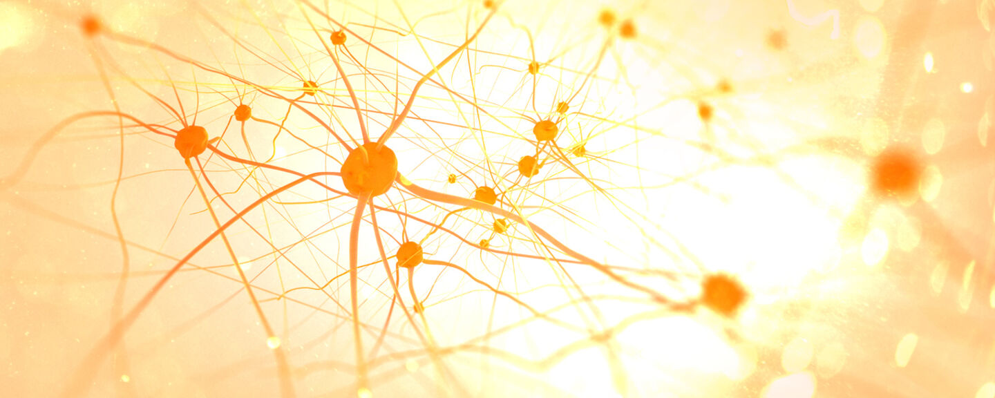 A network system - neurobiology.