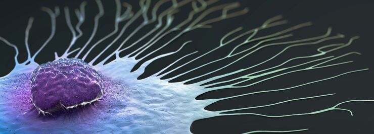 Migrating breast cancer cell, illustration.