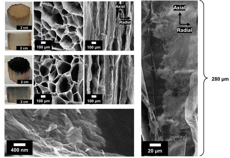 CATSA self-assembly to incorporate graphene oxide into cellulose nanofiber foams