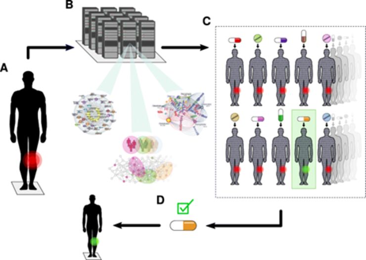 An illustration of the digital twin strategy for personalised medicine.