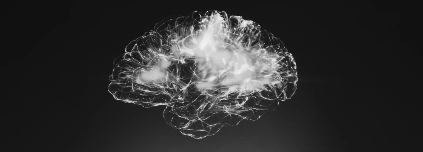 En illustration över en hjärna.