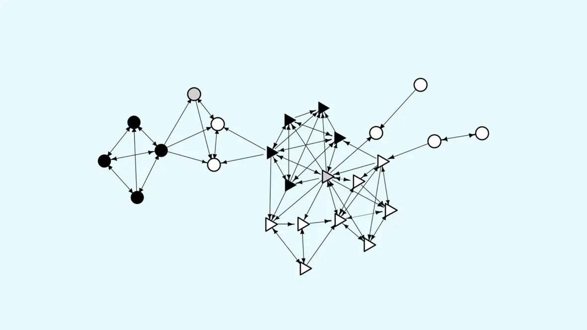 En skolklassens vänskapsnätverk uppdelat efter ursprung.