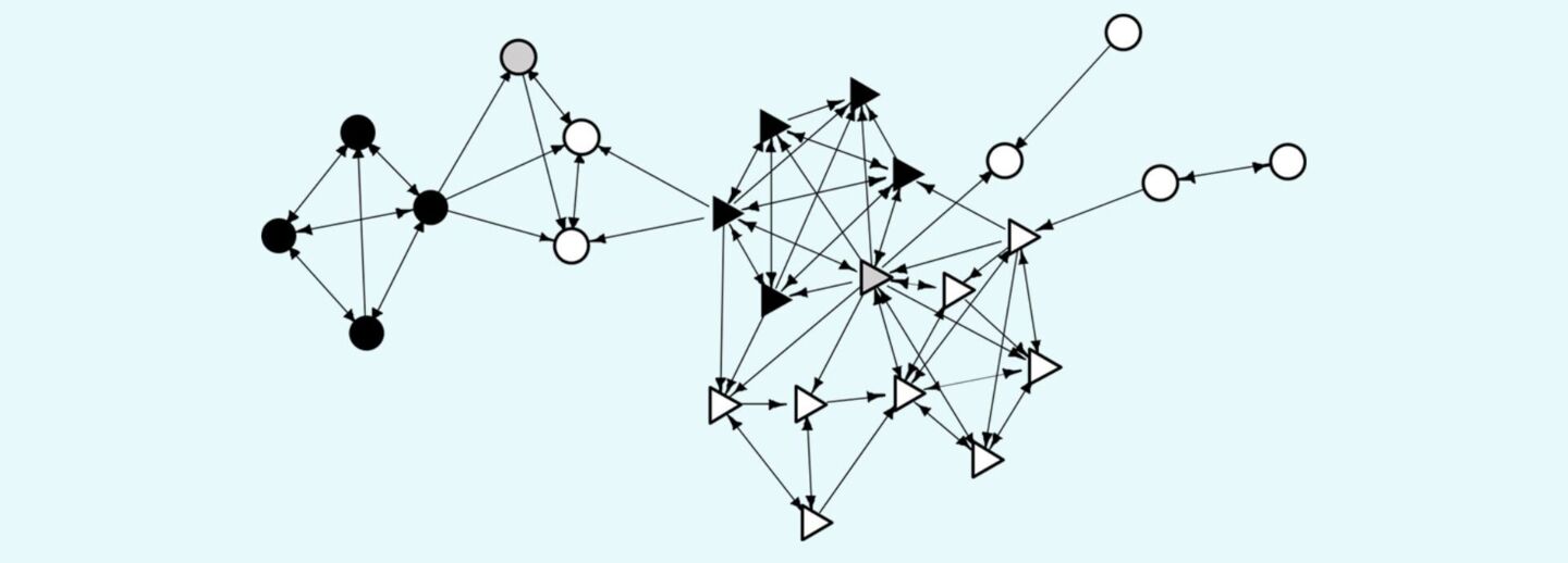 An ancestry-segregated school class friendship network.