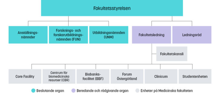 Organisationsschema för Medicinska fakulteten.