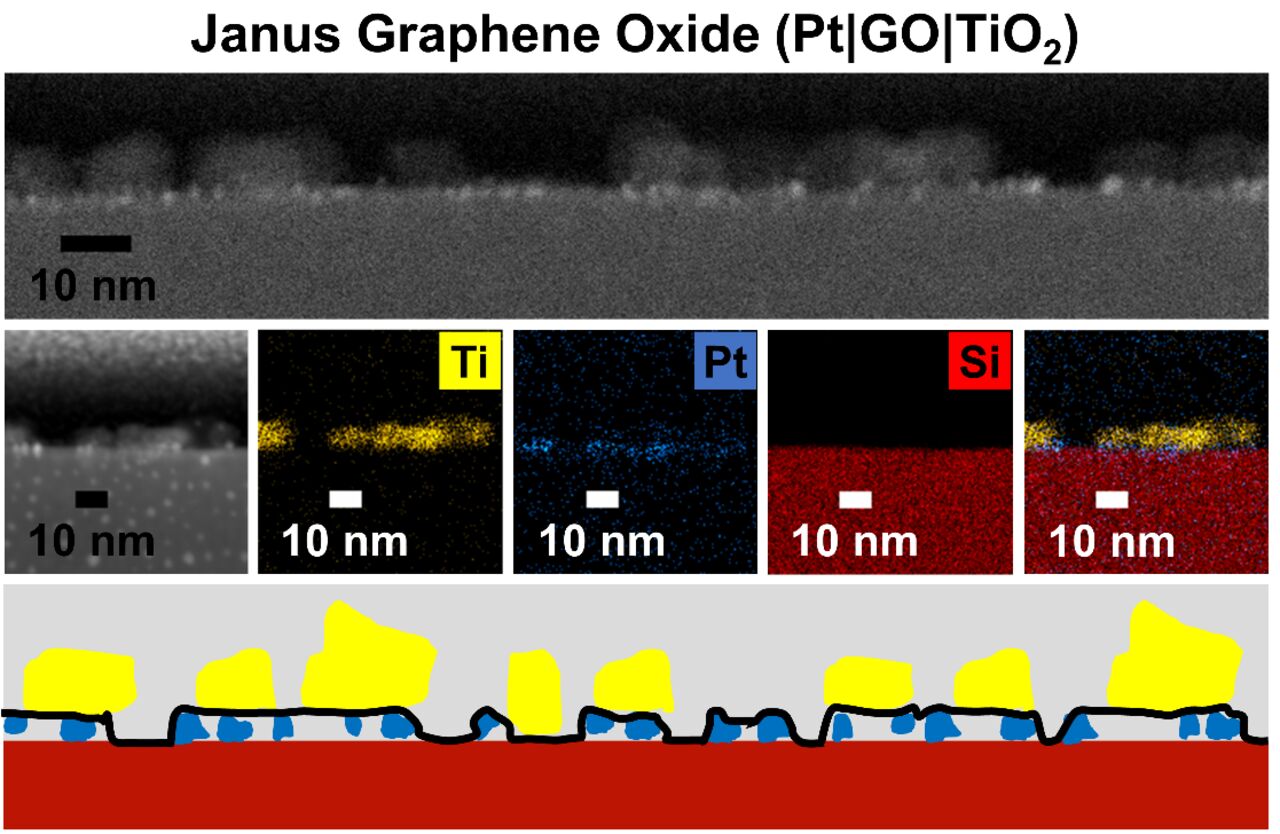 Info graphics, self-assembly to produce Janus graphene oxide