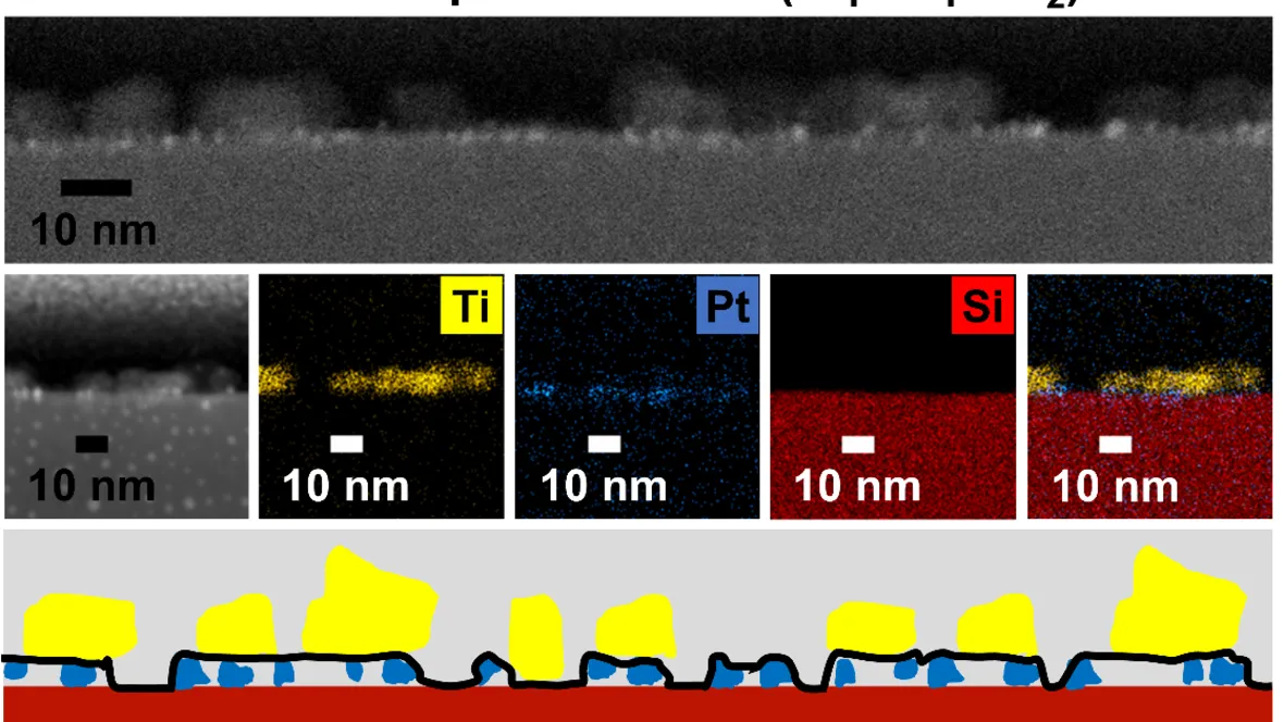 Info graphics, self-assembly to produce Janus graphene oxide