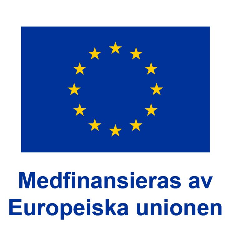 EU loggan, medfinansieras av Europiska Unionen