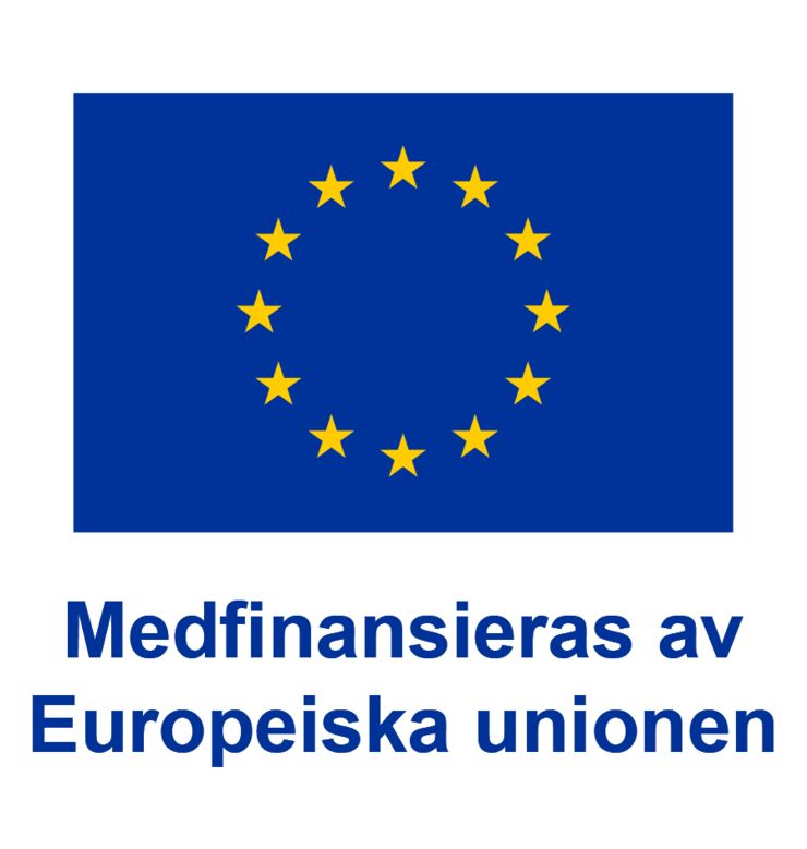 EU logo, co-financed by the European Union