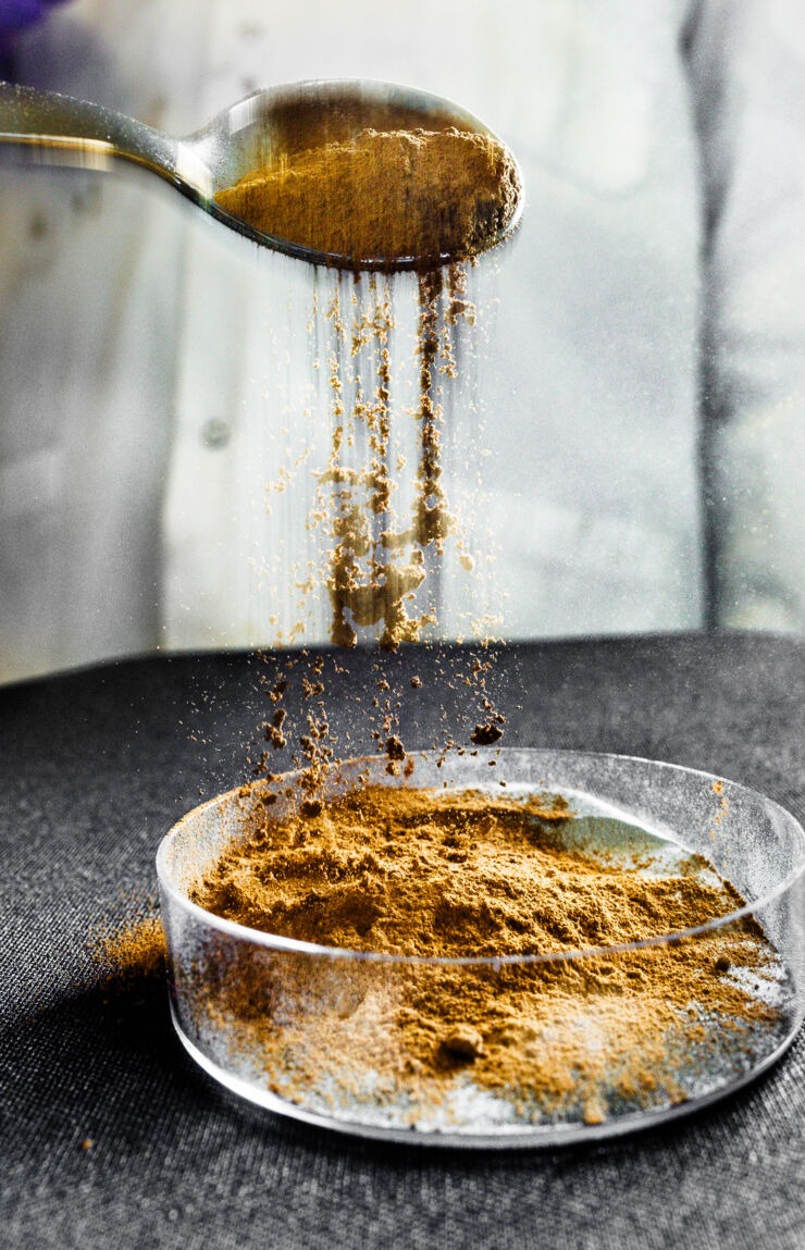 Brown powder poured in petridish.