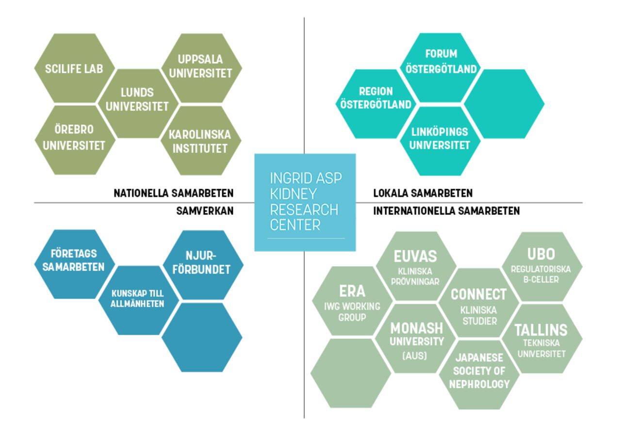 Grafisk modell av samarbeten